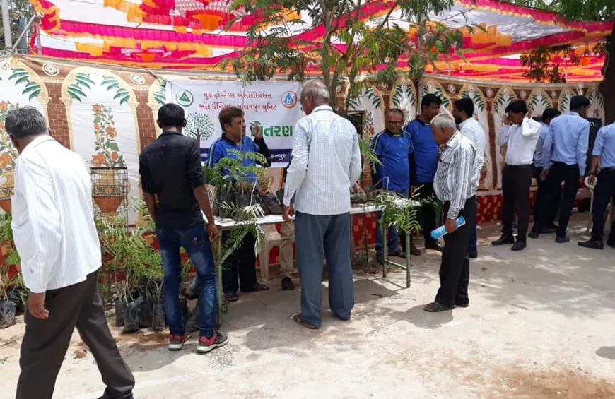 Trees Planted and Distributed