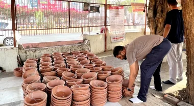 From Homes to Habitats – Prinson’s Effort for Sparrows